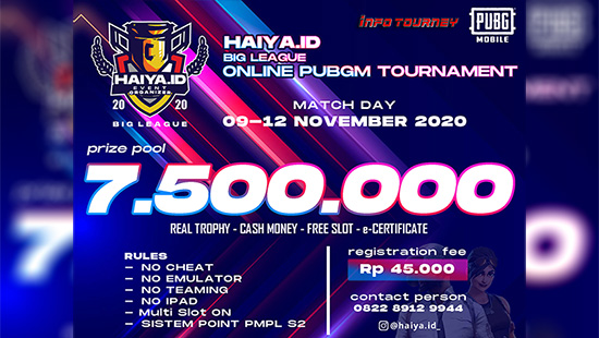turnamen pubgm pubgmobile november 2020 haiya id big league logo